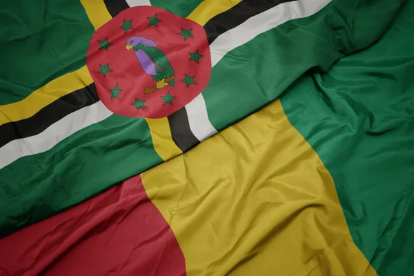 Machanie Kolorową Flagą Gwinei Narodową Flagą Dominiki Makro — Zdjęcie stockowe
