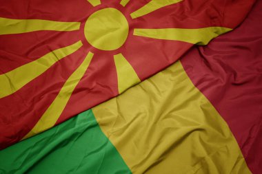 Mali 'nin renkli bayrağını sallıyor ve Macedonia' nın ulusal bayrağını sallıyor. makro