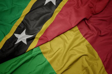 Mali 'nin renkli bayrağını sallıyor ve ulusal Aziz Kitts ve Nevis bayrağını sallıyor. makro