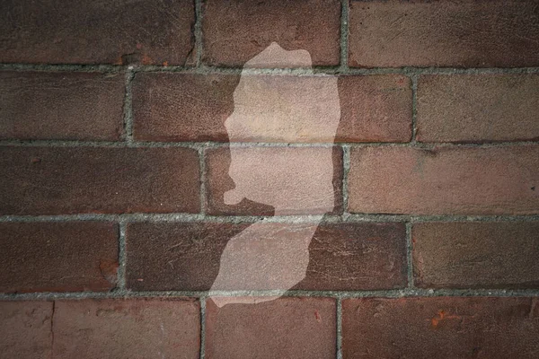 painted map of palestine on a old brick wall