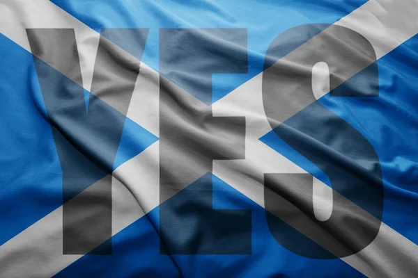 苏格兰独立公投 — 图库照片
