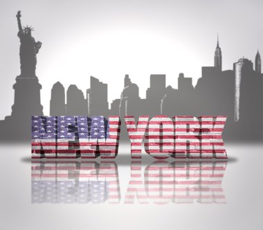 New York şehri manzarası