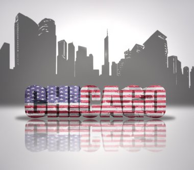 Chicago şehri manzarası