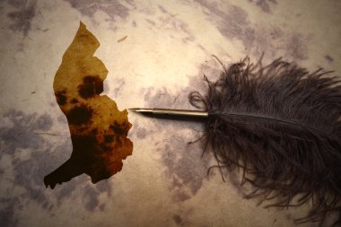 Vintage Liechtenstein harita