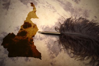 Vintage Kamerun Haritası