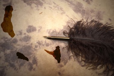 Vintage Komor Adaları Haritası