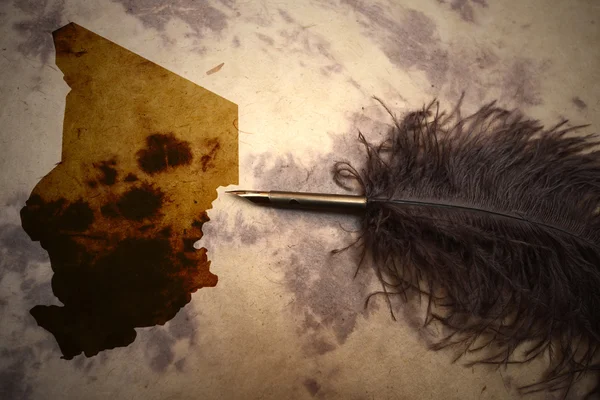 Vintage Çad Haritası