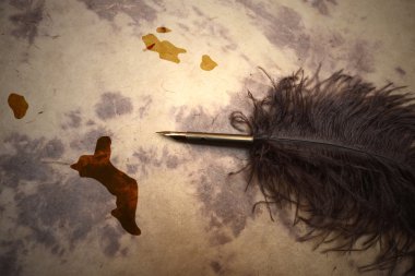 Vintage Seyşeller harita