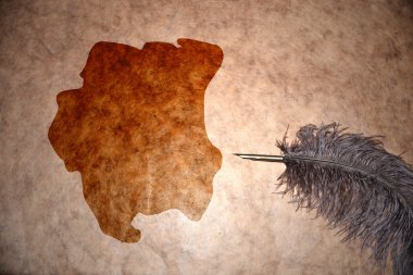 Vintage Surinam Haritası