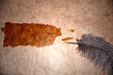 Vintage Porto Riko Haritası