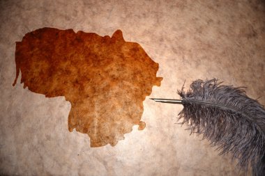 Vintage Litvanya Haritası