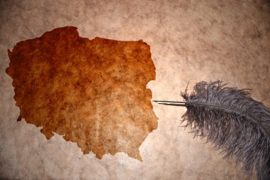 Vintage Polonya harita