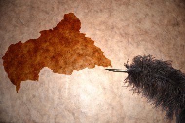 Vintage Orta Afrika Cumhuriyeti harita 