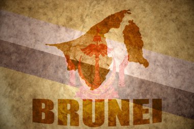 Brunei vintage harita 