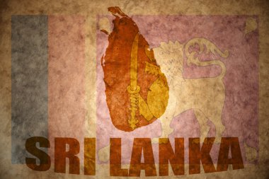 Sri lanka vintage harita 