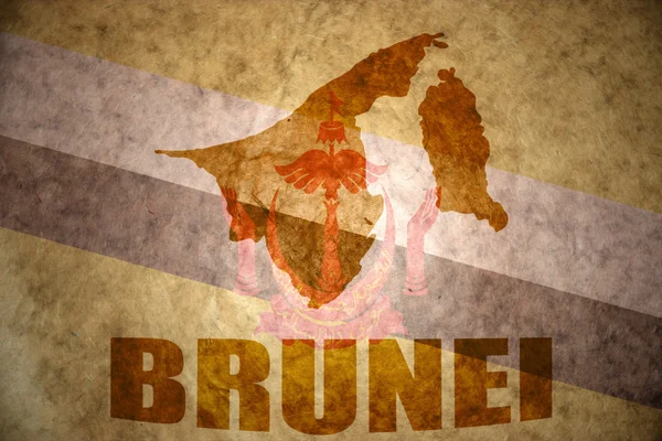 Brunei mapa do vintage — Fotografia de Stock