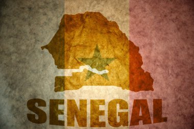 Senegal vintage harita 