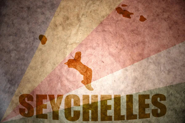 Seychelles vintage mapa — Foto de Stock