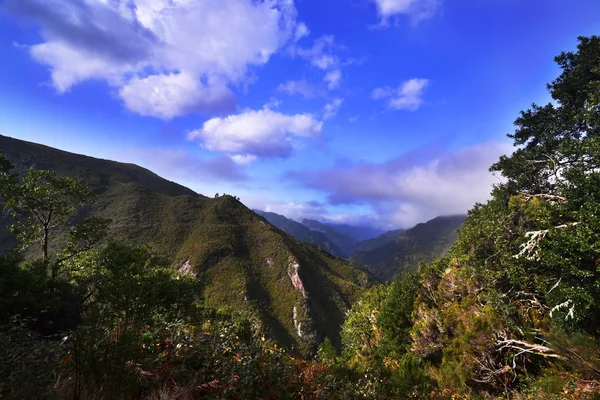 山区景观 — 图库照片