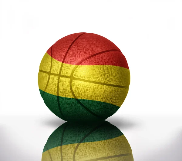 Bolivianska basket — Stockfoto