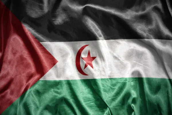 Brillando la bandera saharaui de la República Árabe Democrática —  Fotos de Stock