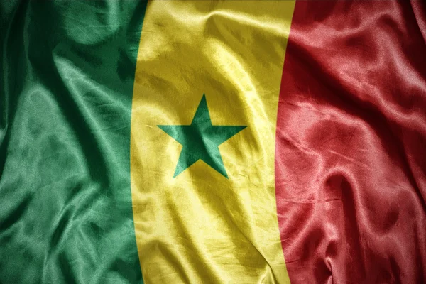 Shining senegalese flag — Stock Photo, Image