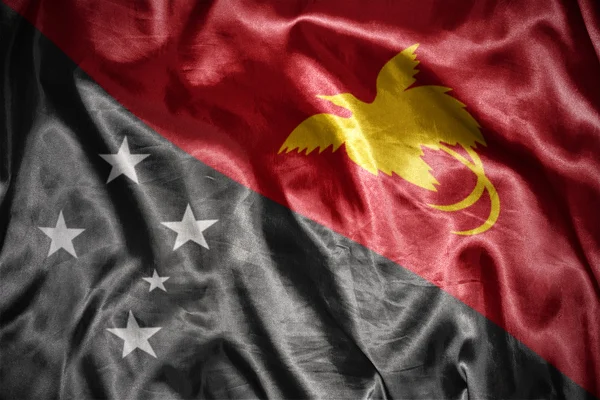 Shining papua new guinea flag — Stock Photo, Image