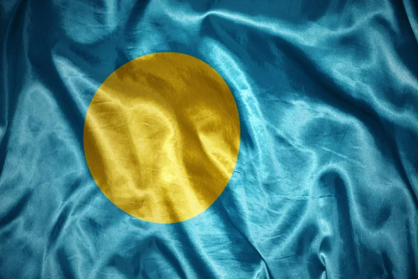 Shining palau flag — Stock Photo, Image