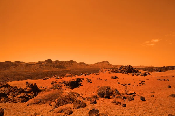 Övergivna markbundna planet i orange färger Royaltyfria Stockbilder