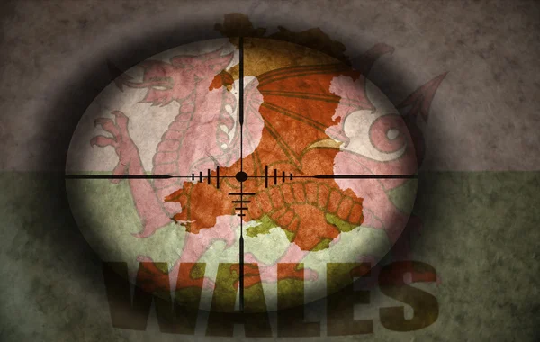 Odstřelovač obor zaměřený na vinobraní Walesu vlajka a mapa — Stock fotografie