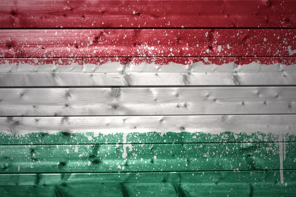 Bandiera ungherese dipinta su una texture in legno — Foto Stock