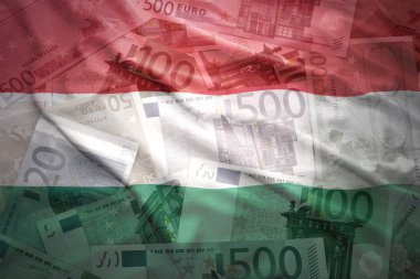colorful waving hungarian flag on a euro money background