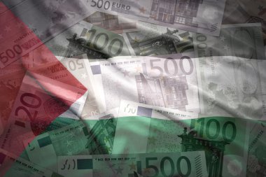 colorful waving palestinian flag on a euro money background