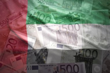 colorful waving united arab emirates flag on a euro money background
