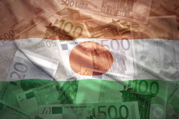 Drapeau niger agitant coloré sur un fond d'argent euro — Photo