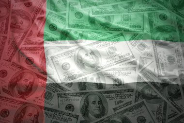 colorful waving united arab emirates flag on a american dollar money background