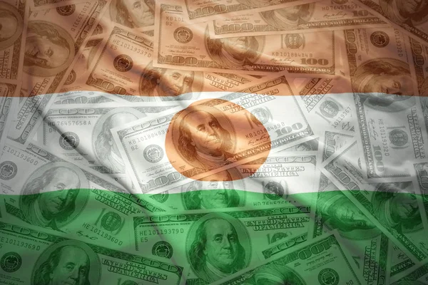 Drapeau niger agitant coloré sur un fond d'argent dollar américain — Photo