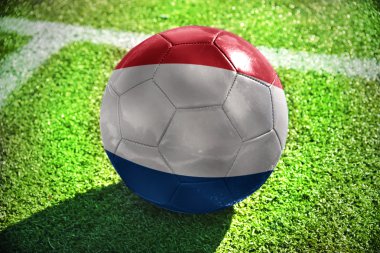 Beyaz satırı yakınlarında yeşil sahada futbol topu Hollanda bayrağı ile yatıyor