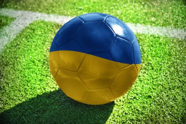Beyaz satırı yakınlarında yeşil sahada futbol topu Ukrayna bayrağı ile yatıyor