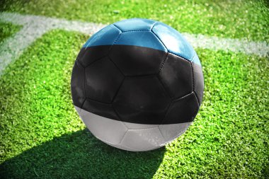 football ball with the national flag of estonia on the field