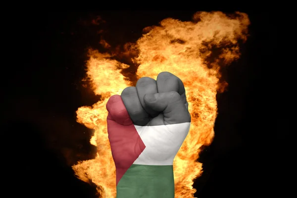 火的巴勒斯坦国旗的拳头 — 图库照片