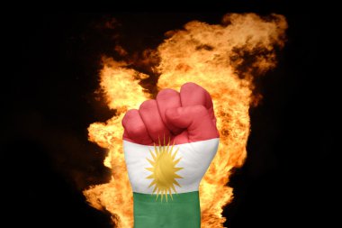 yumruk Kürdistan bayrağı ile ateş