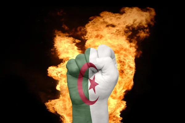 Tűz ököl, Algéria zászlaja — Stock Fotó