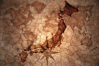 Vintage Japonya Haritası