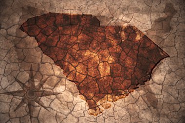 Vintage Güney Carolina eyalet harita