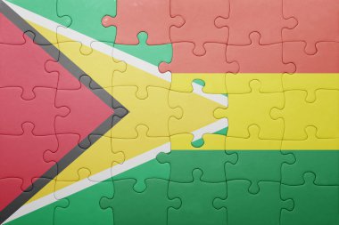 Bolivya ve guyana ulusal bayrak ile bulmaca
