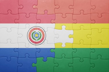 Bolivya ve paraguay ulusal bayrak ile bulmaca