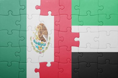 puzzle with the national flag of united arab emirates and mexico