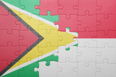 Endonezya ve guyana ulusal bayrak ile bulmaca