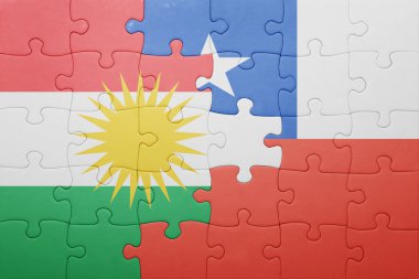 Şili ve Kürdistan ulusal bayrak ile bulmaca